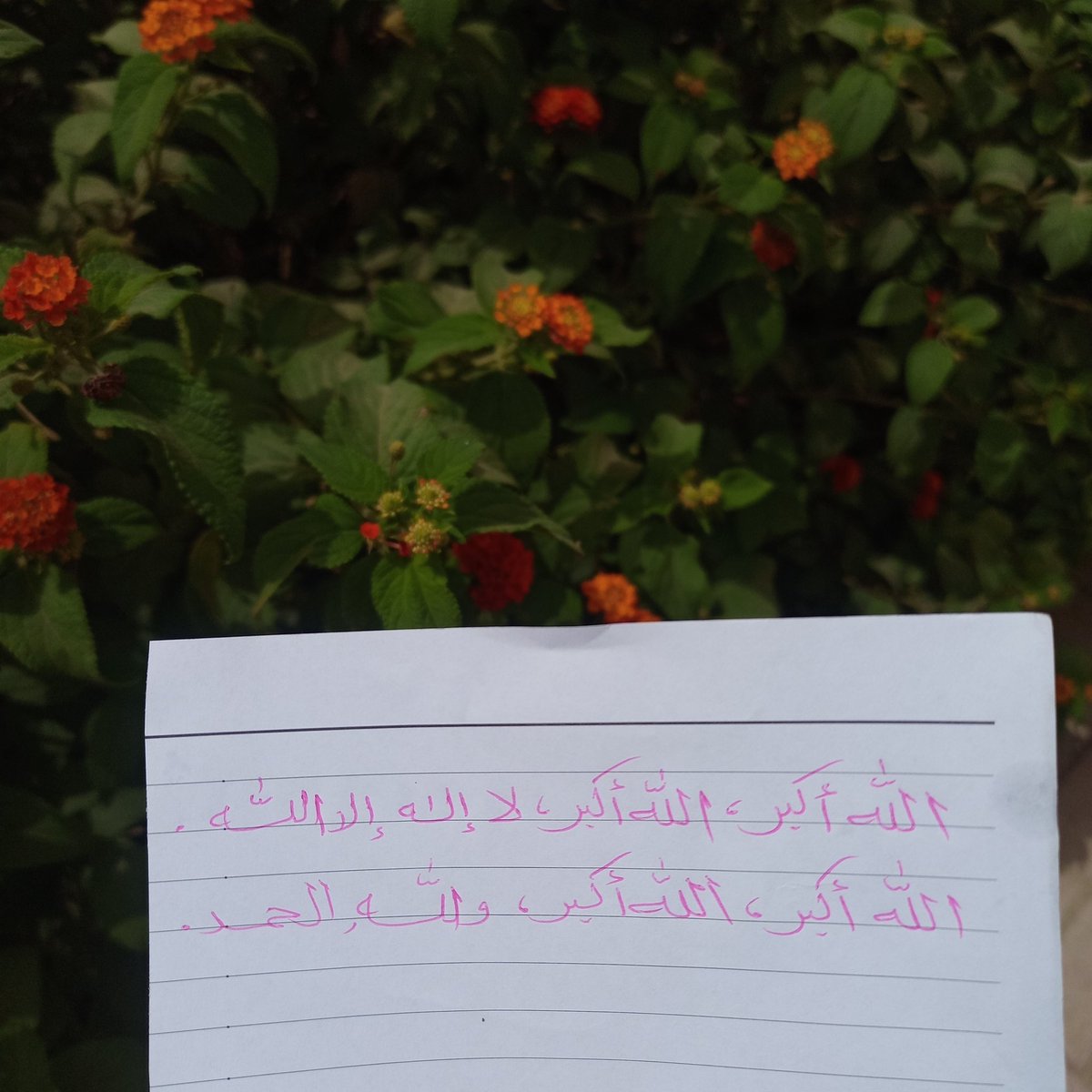 a3ya14's tweet photo. @La__i14 https://t.co/76w1nxhelT