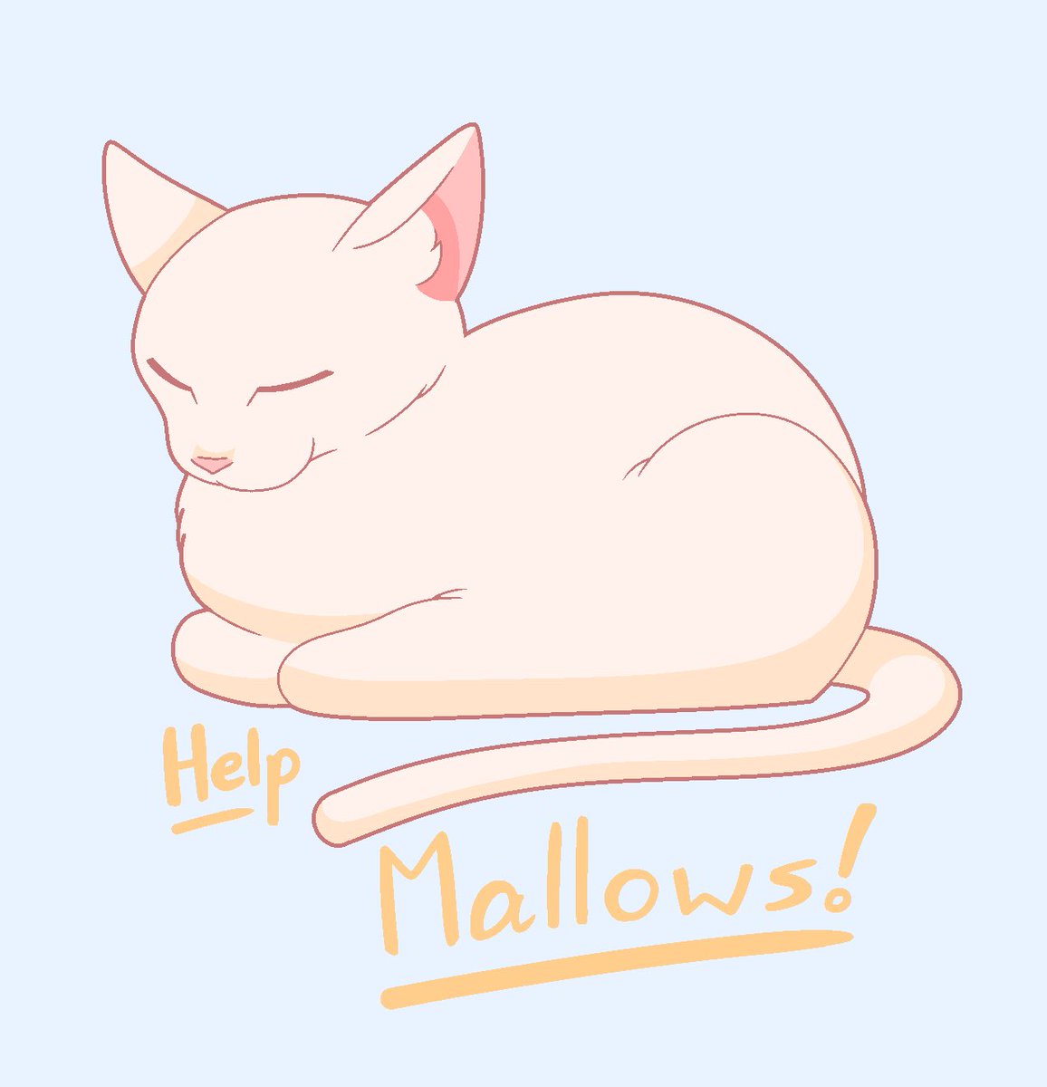 Neko✨🌸 tweet media