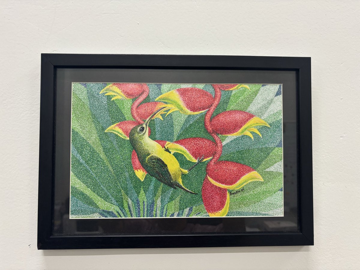 vinita_gowda's tweet photo. And they are hooked!
#arachnotheraLongirostra #spiderhunter on #heliconiaRostrata #heliconiaceae - fine stippled line painting.
Thank you @TrEE_Lab & @sanikagoray for this gorgeous painting & for thoughtfully connecting my past & recent obsessions, & everything in between⦠https://t.co/Z3SwmTFsk8