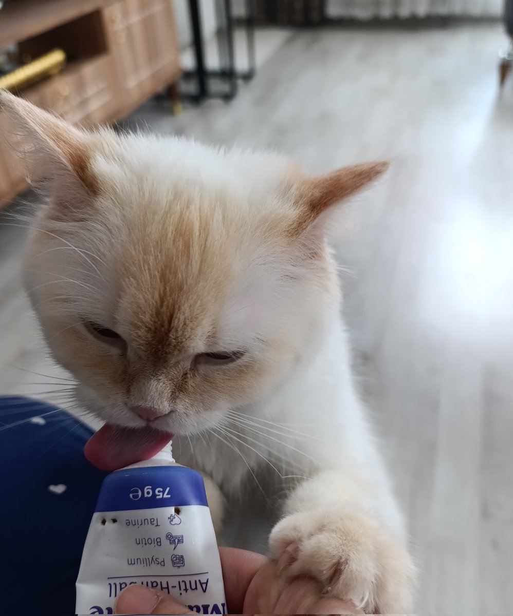eesreknc's tweet photo. şımarık birisiii😚 https://t.co/UFcOtrEUR5