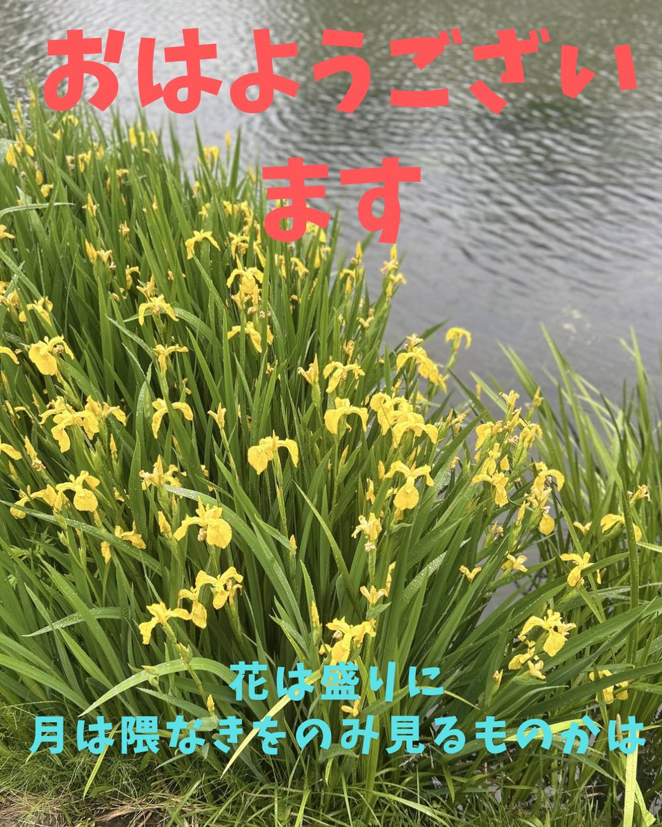 今週もよろしくお願いします💫