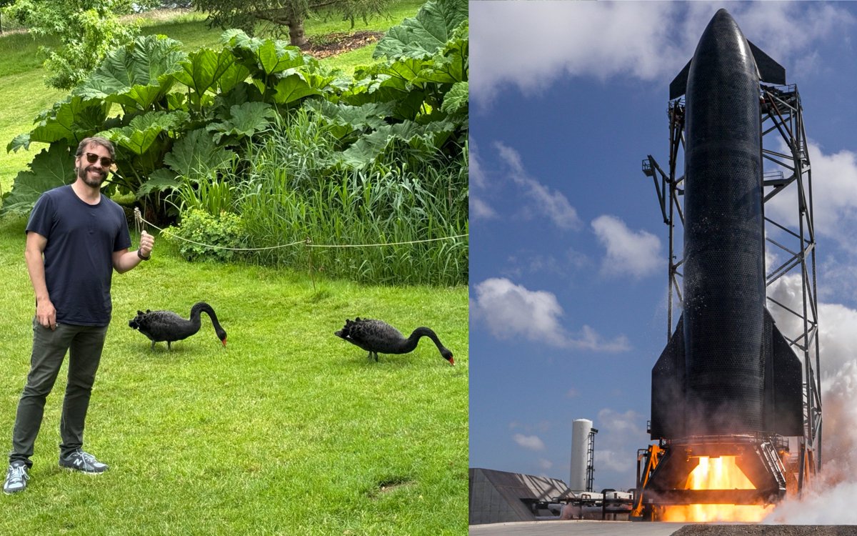 AceWindman's tweet photo. Black Swan Event 
SpaceX IPO ?
$BBBY $BBBYQ $GME $Teddy/DK 🦋 https://t.co/AdCL2CrUOV