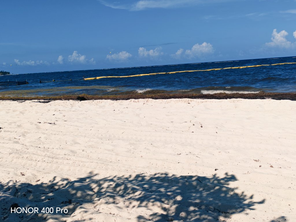 pacarindf3's tweet photo. Muerte de punta esmeralda https://t.co/IcBF2e0z8W