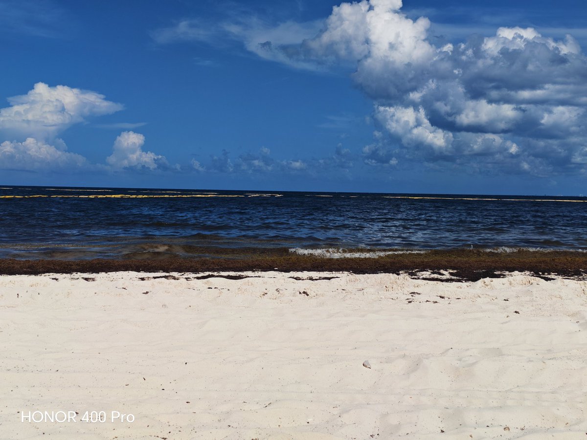 pacarindf3's tweet photo. Muerte de punta esmeralda https://t.co/IcBF2e0z8W
