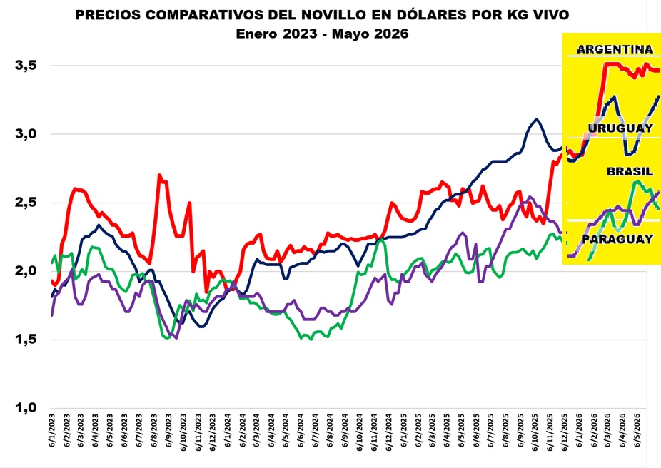 Informe Ganadero tweet media