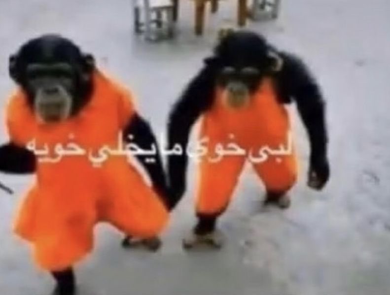 س ـلوم tweet media