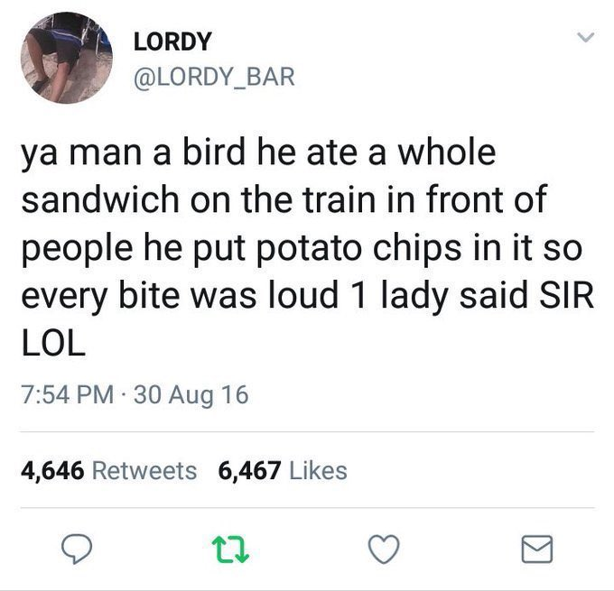 chrißy tweet media