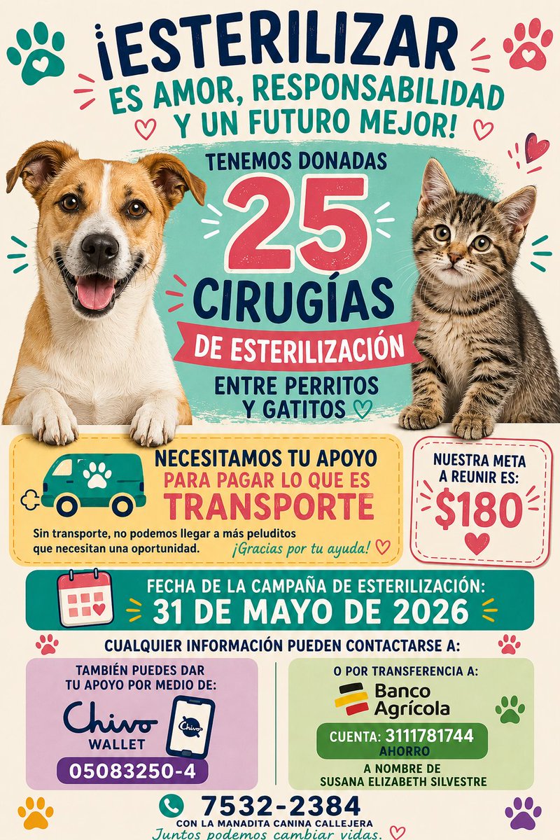 MANADITA CANINA CALLEJERA tweet media