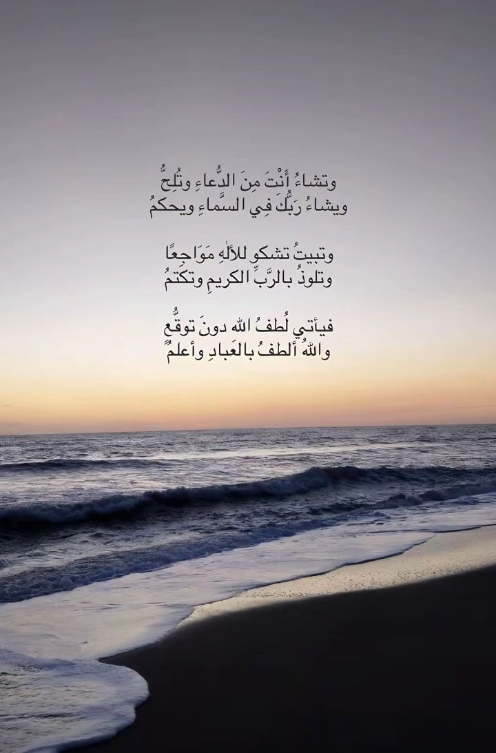 َ tweet media