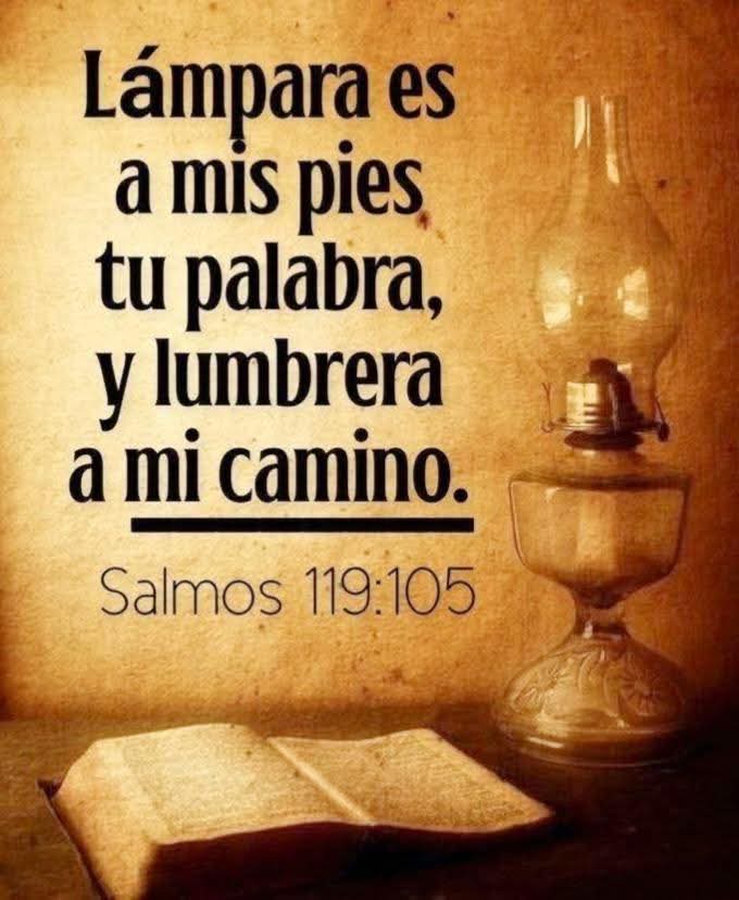 Marco Rodas™👑🇬🇹 tweet media