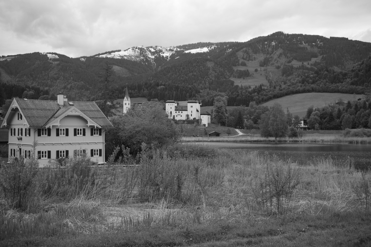Thomas Helmut Lippert tweet media