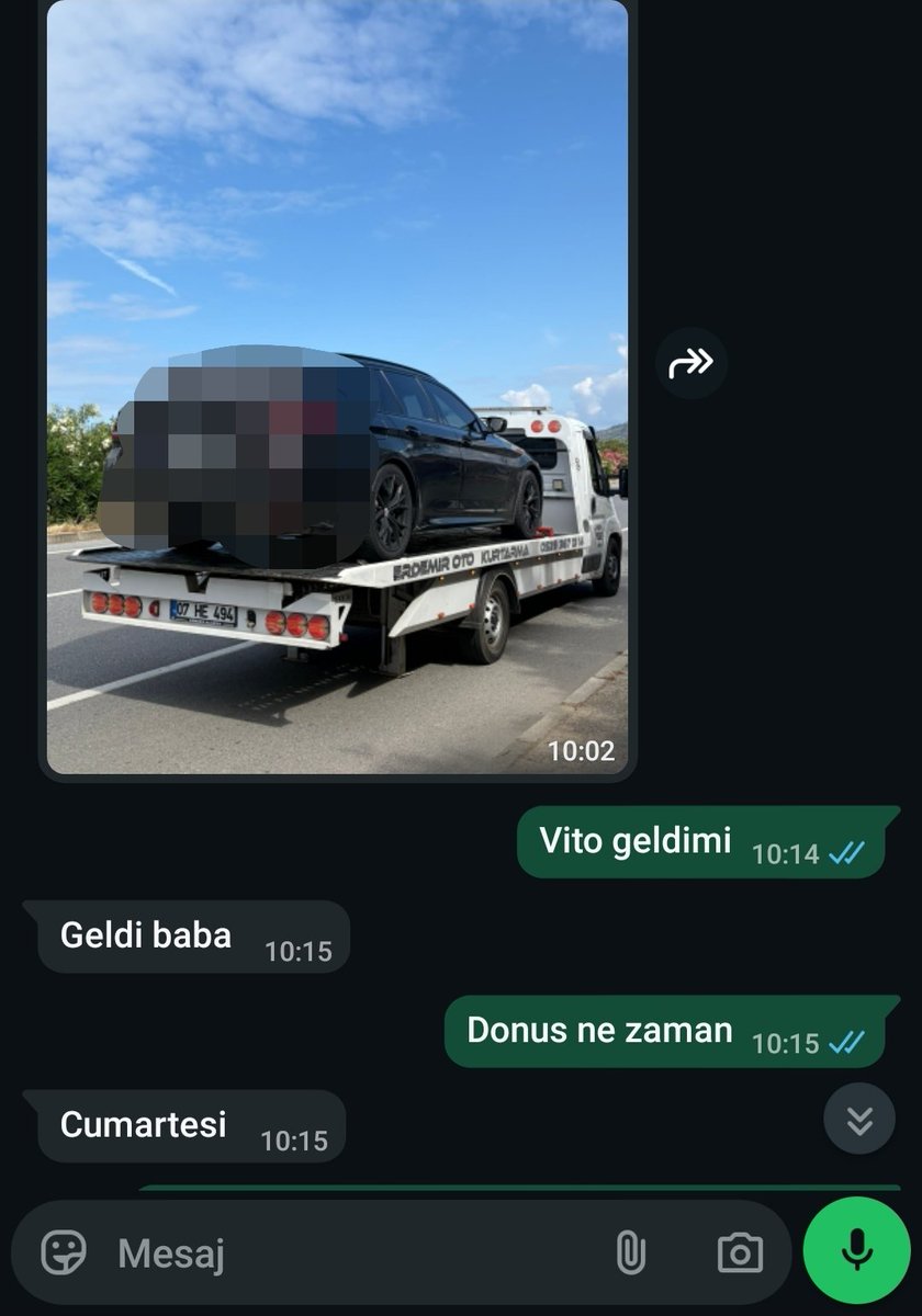 Güney Dağdeviren tweet media