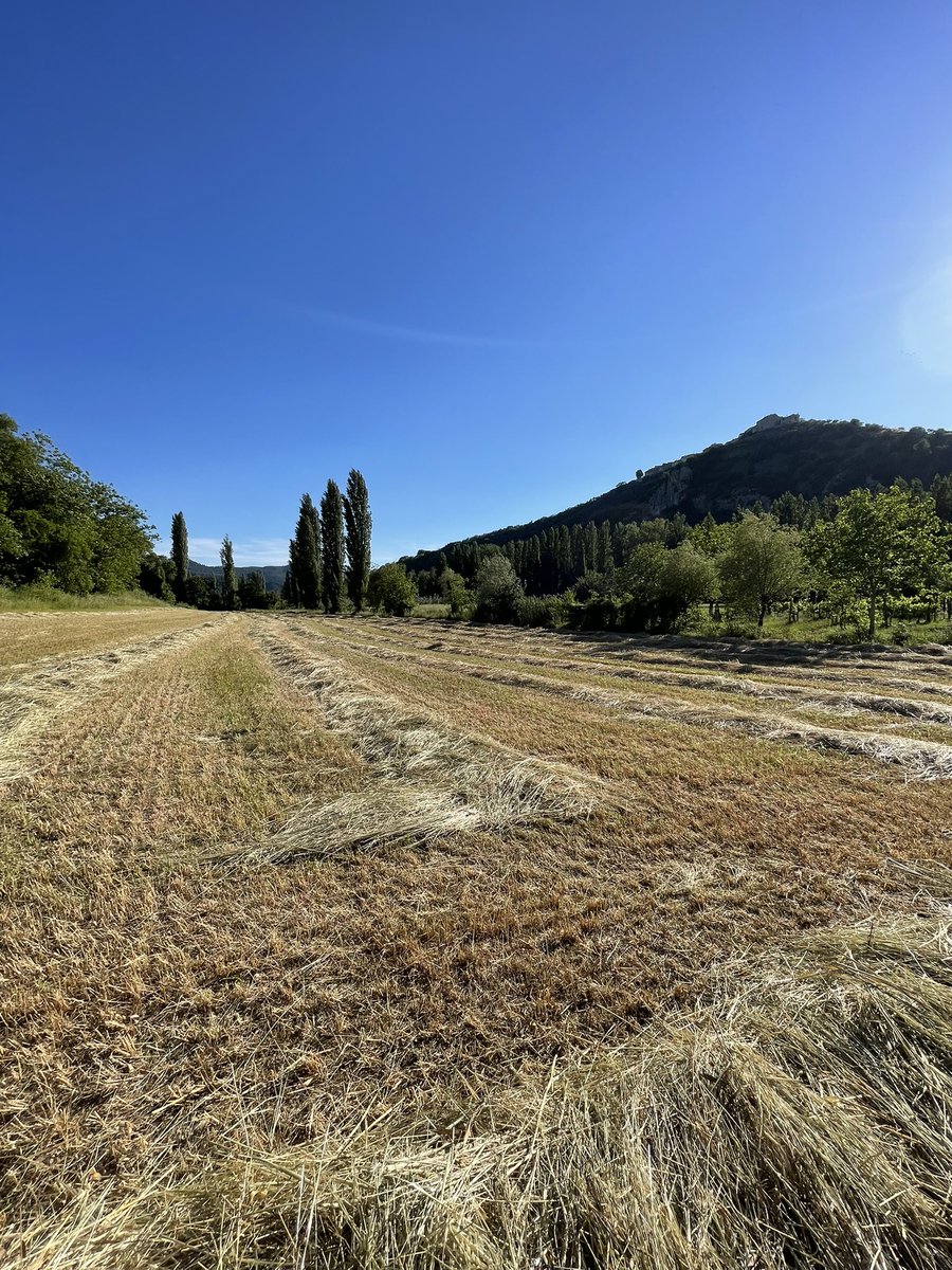 valnerinalive's tweet photo. Caldo in aumento fino a Mercoledì, poi da Giovedì infiltrazioni di aria più fresca porteranno instabilità pomeridiana con locali temporali.

#valnerina #umbria #meteo https://t.co/juyeuofV1k