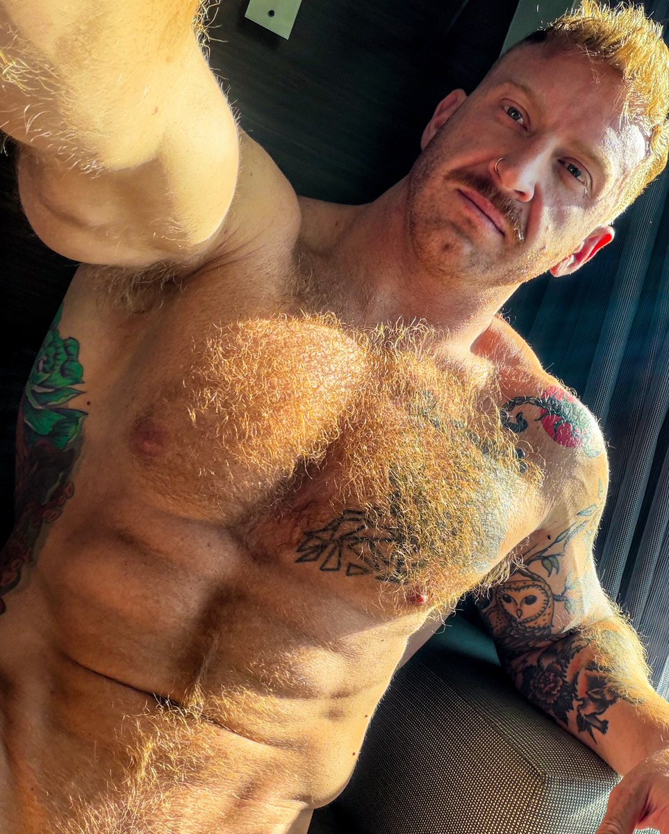 adventurehimbo tweet media