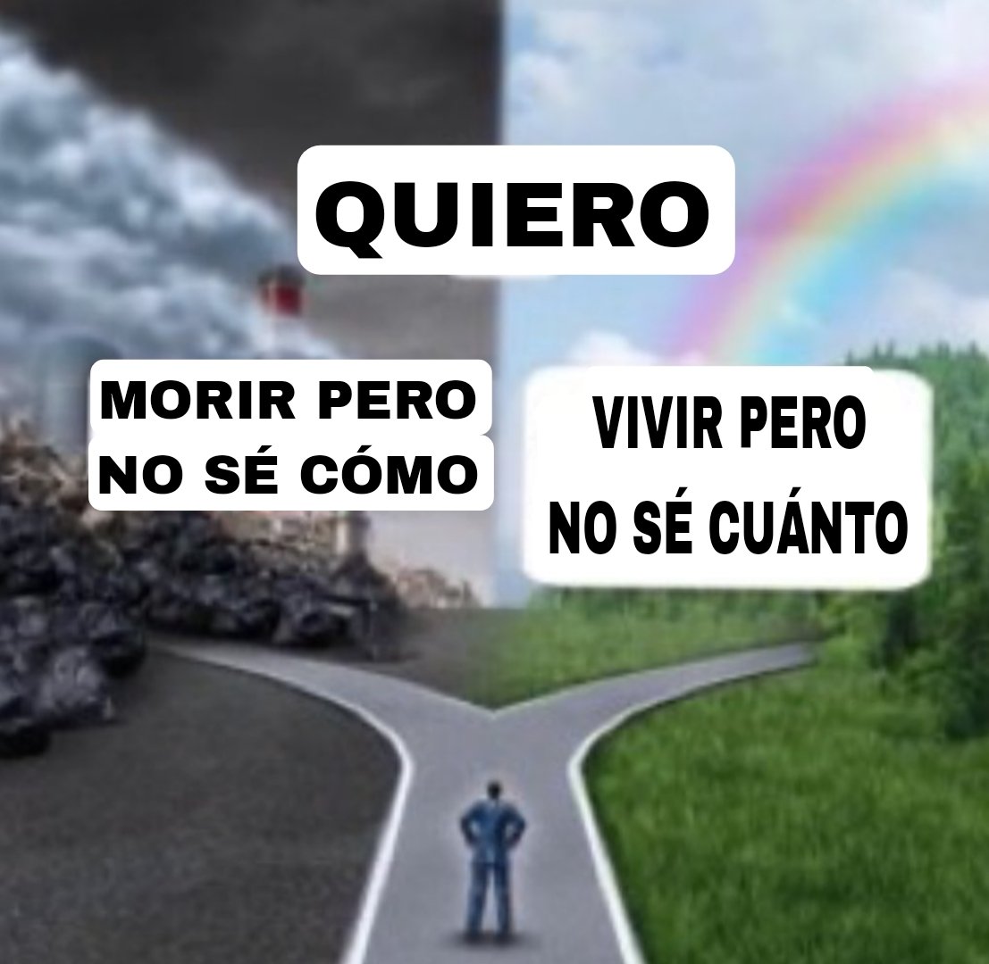 homosexual TRANStornadon't 4.0 ☀️ | vió a milo j tweet media