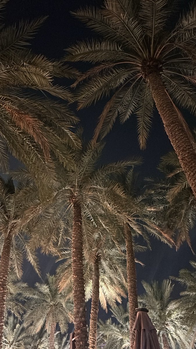 ︎🇸🇦لولي tweet media