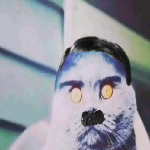TheDever_'s tweet photo. This Folk cat is going insanely viral and is being used as a meme template

I geniunely don't know how are we not a generational cat meme like this

Tiktok search: https://t.co/C4joFhJJA4 https://t.co/fAE3UPdAmR