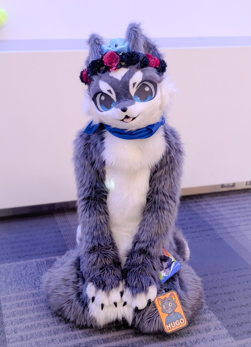 HugoPixelzPup's tweet photo. I am puppy 🐈 https://t.co/Dgk3N137NB