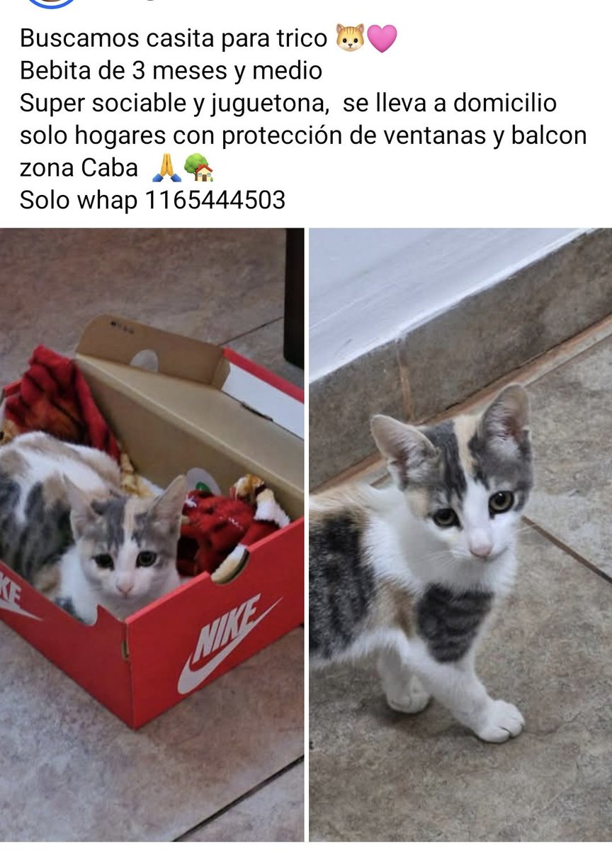 Laly 🇦🇷 tweet media