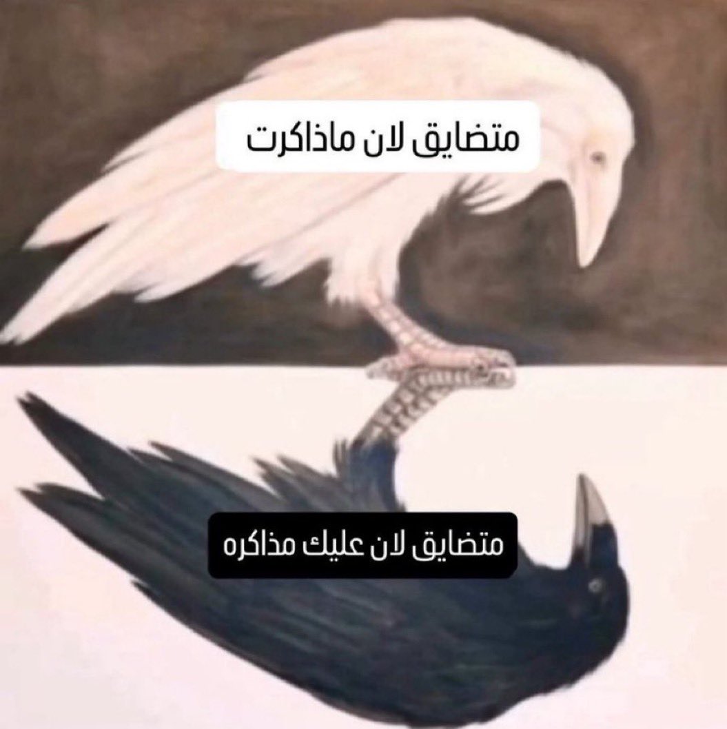 سـهد tweet media