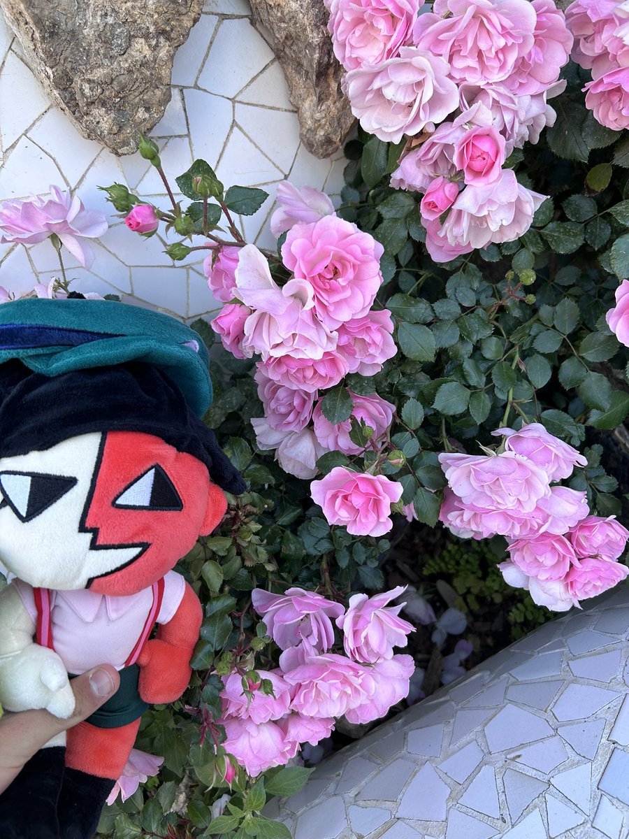 phishkek's tweet photo. #enadreambbq

She visited Spain

Park Guell https://t.co/Pi5aB9Gwvy