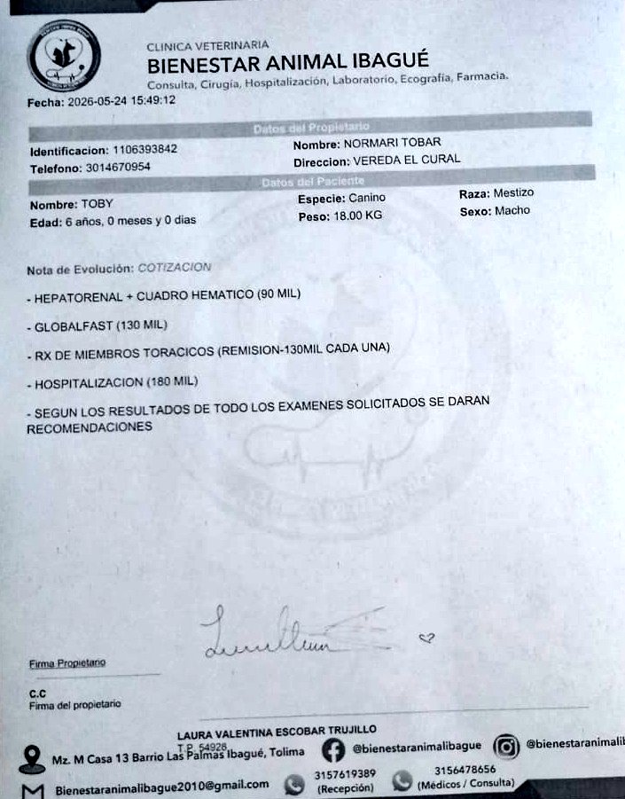 ⚕️Óscar Jiménez🐾 tweet media