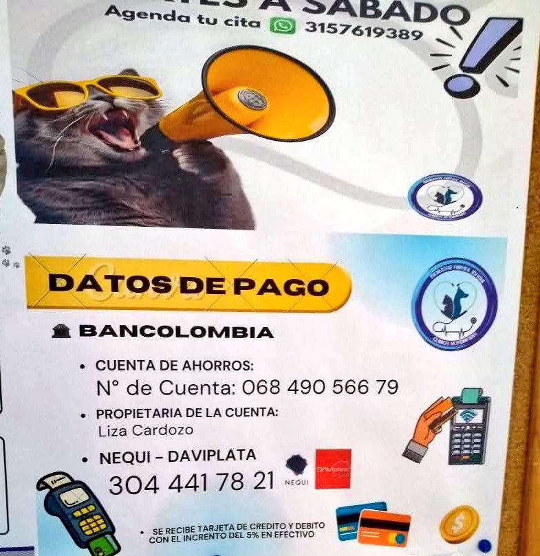 ⚕️Óscar Jiménez🐾 tweet media