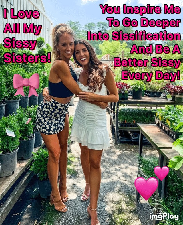 SissyPaulina tweet media