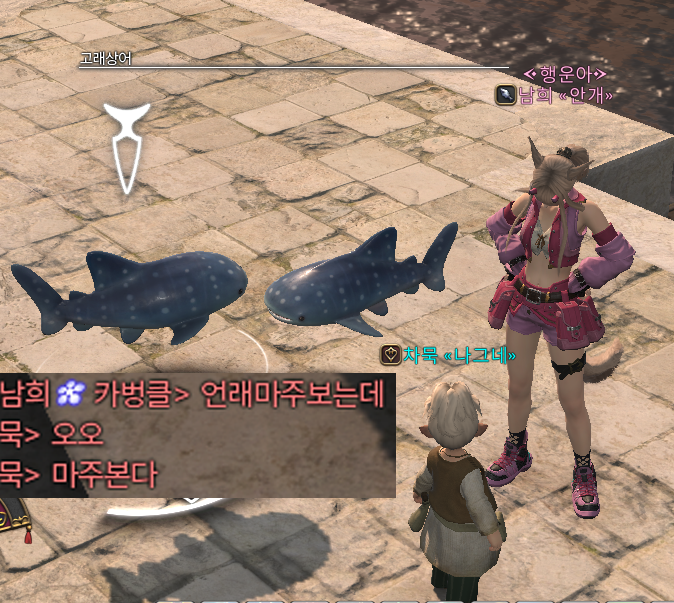차묵 tweet media