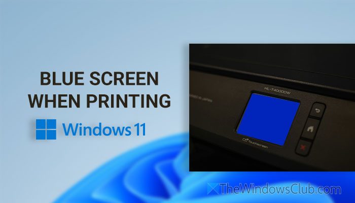 TheWindowsClub tweet media
