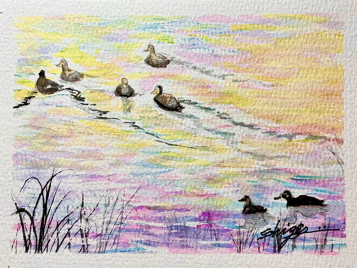 Ducks before sunrise.(日の出前の合鴨たち)〜今朝も透明水彩絵の具を