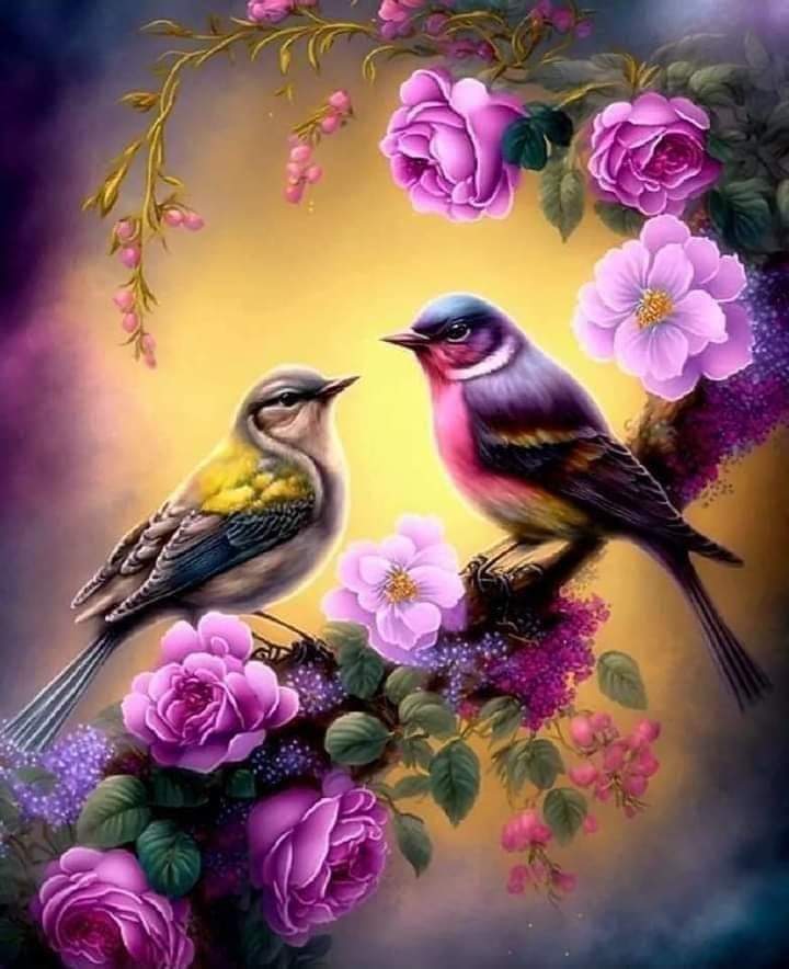 rose_rouuge's tweet photo. @sary2alkhuzai صفحة راقية و جميلة ... https://t.co/v4MKDve9La
