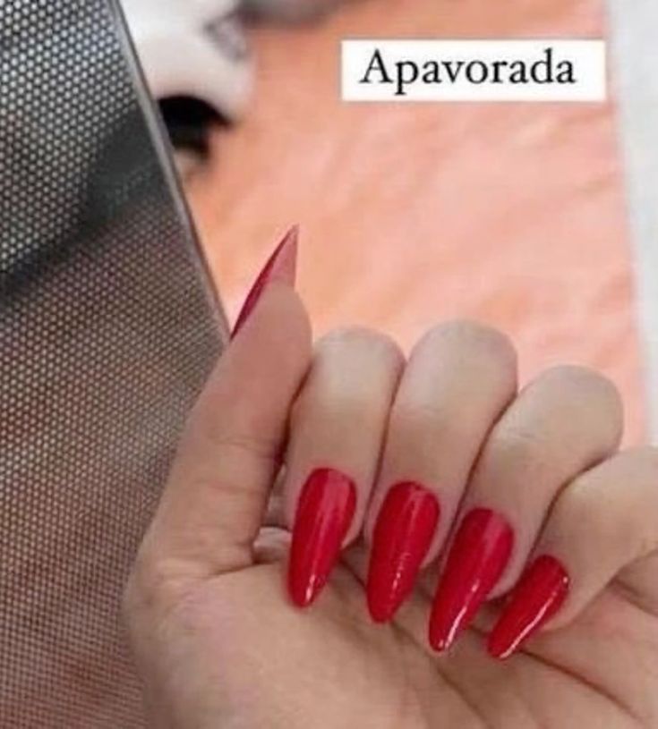 clarão: a mulher viado do apadrinhamento soviético tweet media