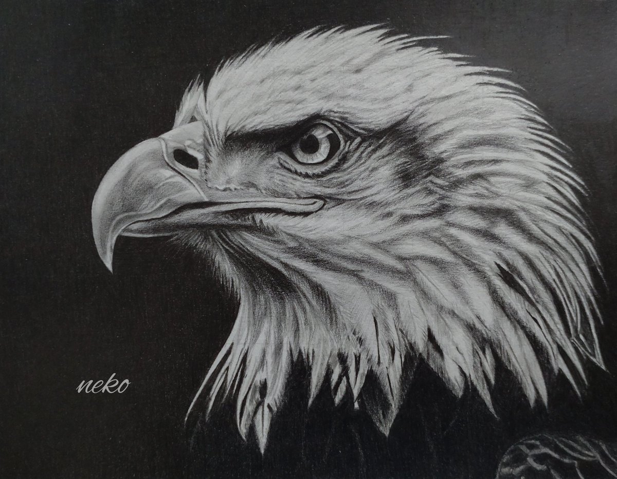 鉛筆画