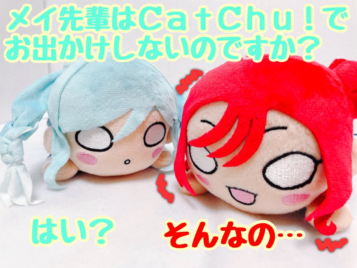 曜一色 tweet media