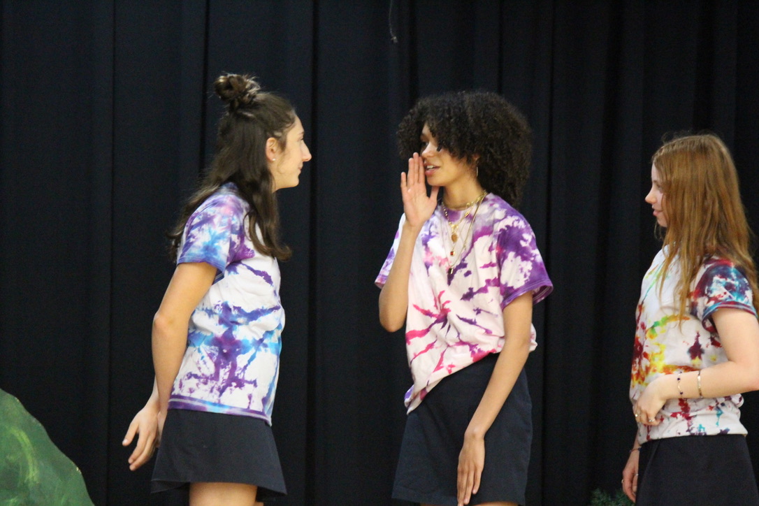 school_ann's tweet photo. We couldn't forget to give a shout out &amp; "Bravo" to our 8th graders for their wonderful performance of Much Ado About Nothing! Our students then performed in the Diocesan wide Shakespeare Festival at Bishop Ireton. We are so proud of their hard work, and cool tie dye tshirts! https://t.co/lpIlg9xp7m