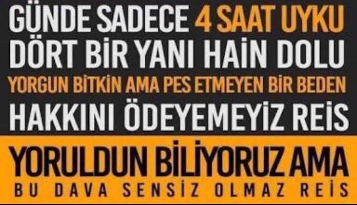 gülşah tweet media