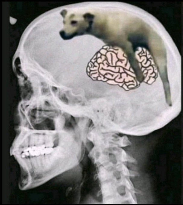 Essclapezzz tweet media
