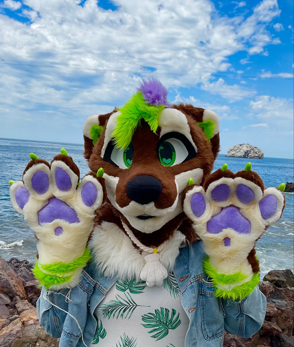 SLemm0n's tweet photo. Hello everybody!! Today this cutie is looking for a new home right now!🦦🌱🌱 https://t.co/yTWNNMcOAk