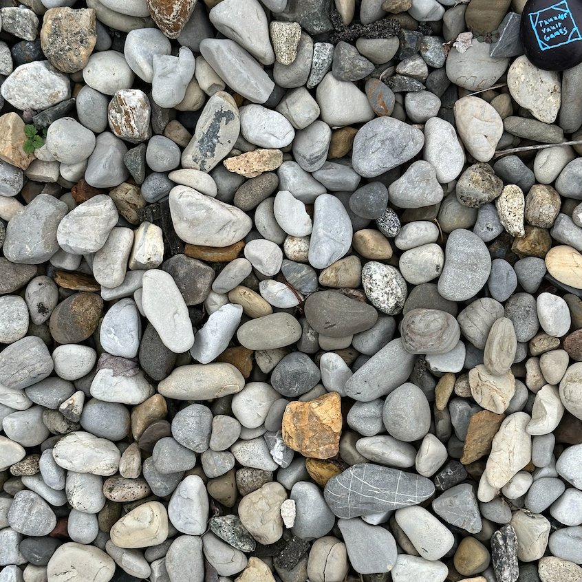 ThunderStrike74's tweet photo. Does anyone like my rock collection? https://t.co/7Y0CnmPpg3