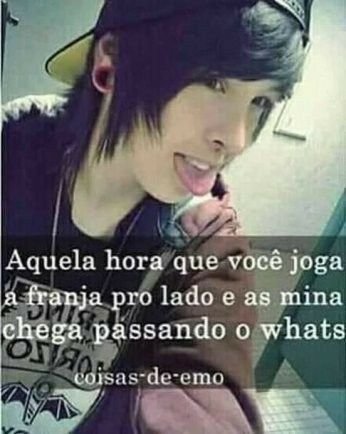 Lucas/Delphinando p krl tweet media