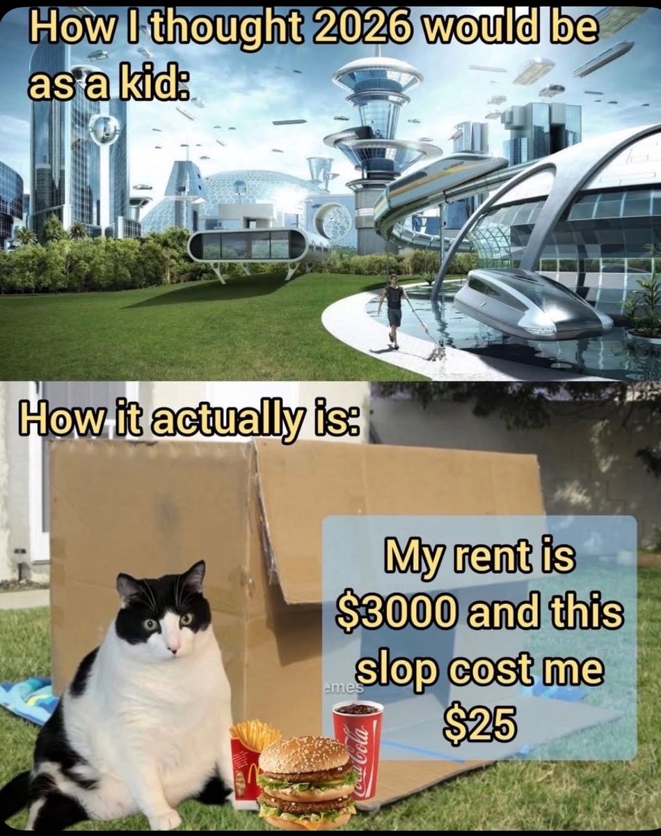 philosophy memes 🔗 tweet media
