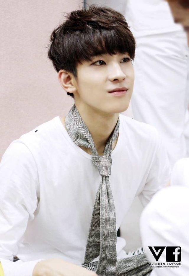 hourly wonwoo tweet media