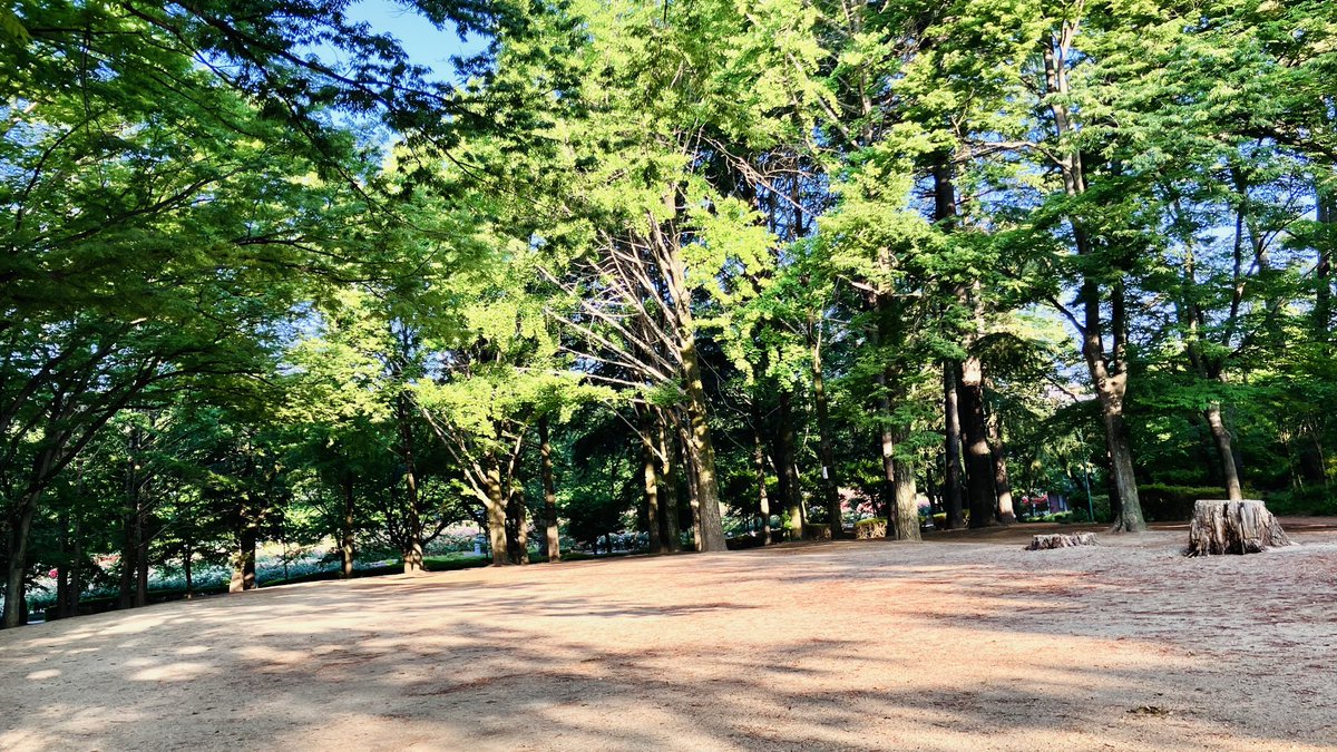 スナック保健室|保険外訪問看護『さいたまナースケア』|看護師 tweet media