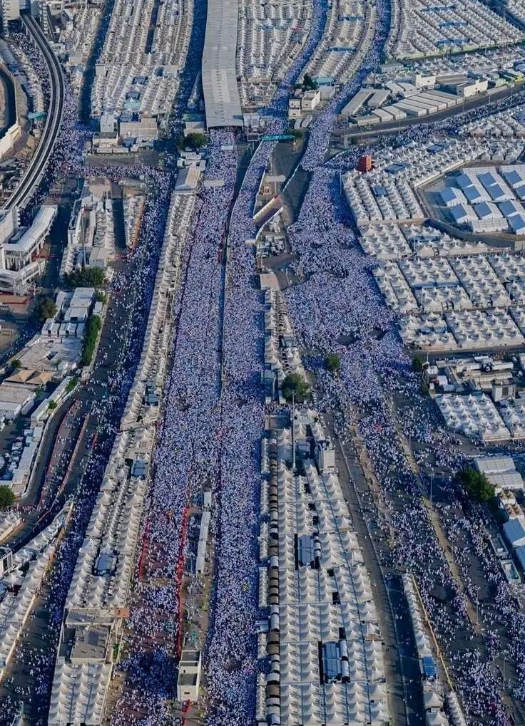 سِــــــيد فَيصَل tweet media