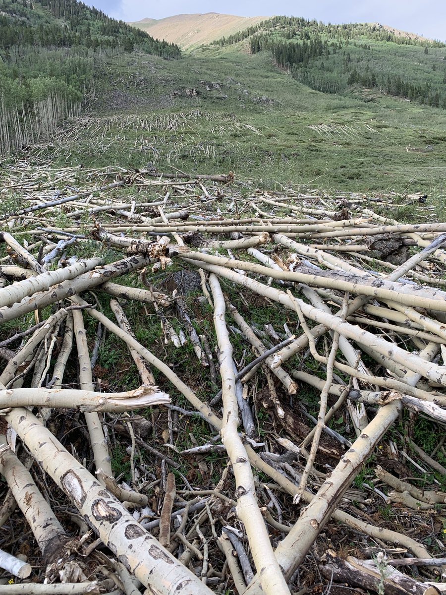 hey__man's tweet photo. This is what an avalanche can do… independence pass, Colorado https://t.co/13e82lVAy3