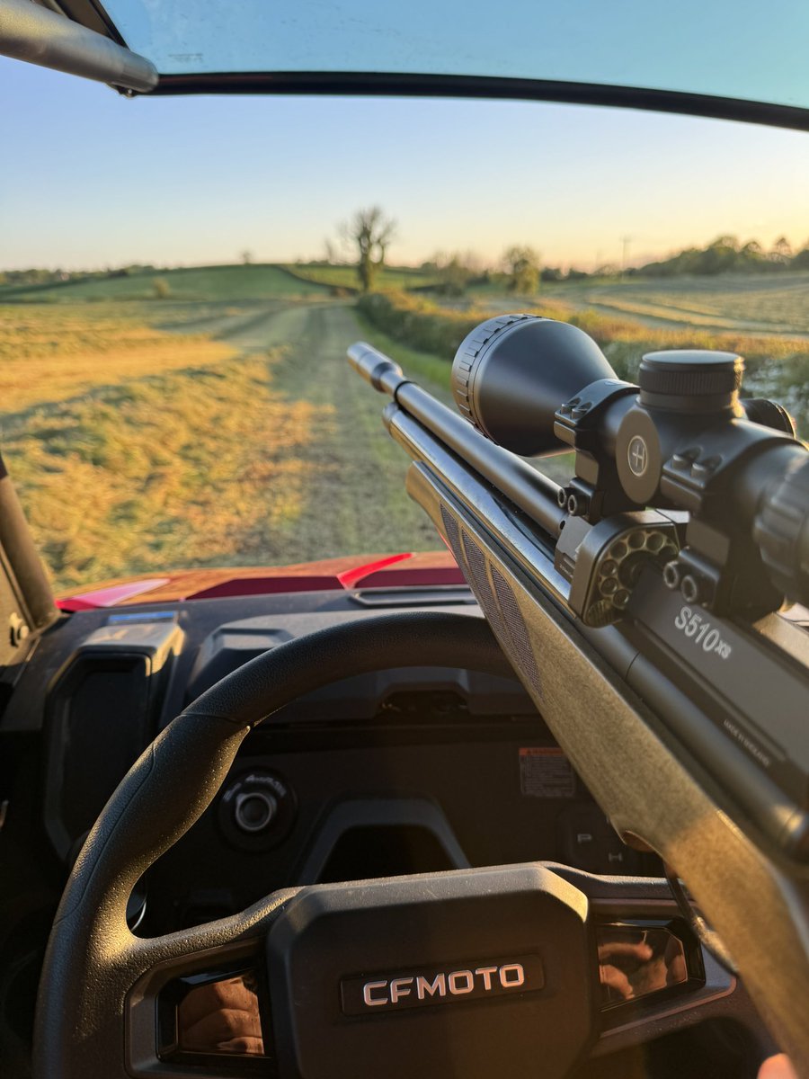 mrpetebar's tweet photo. Rabbit patrol https://t.co/bkyCZONBFE