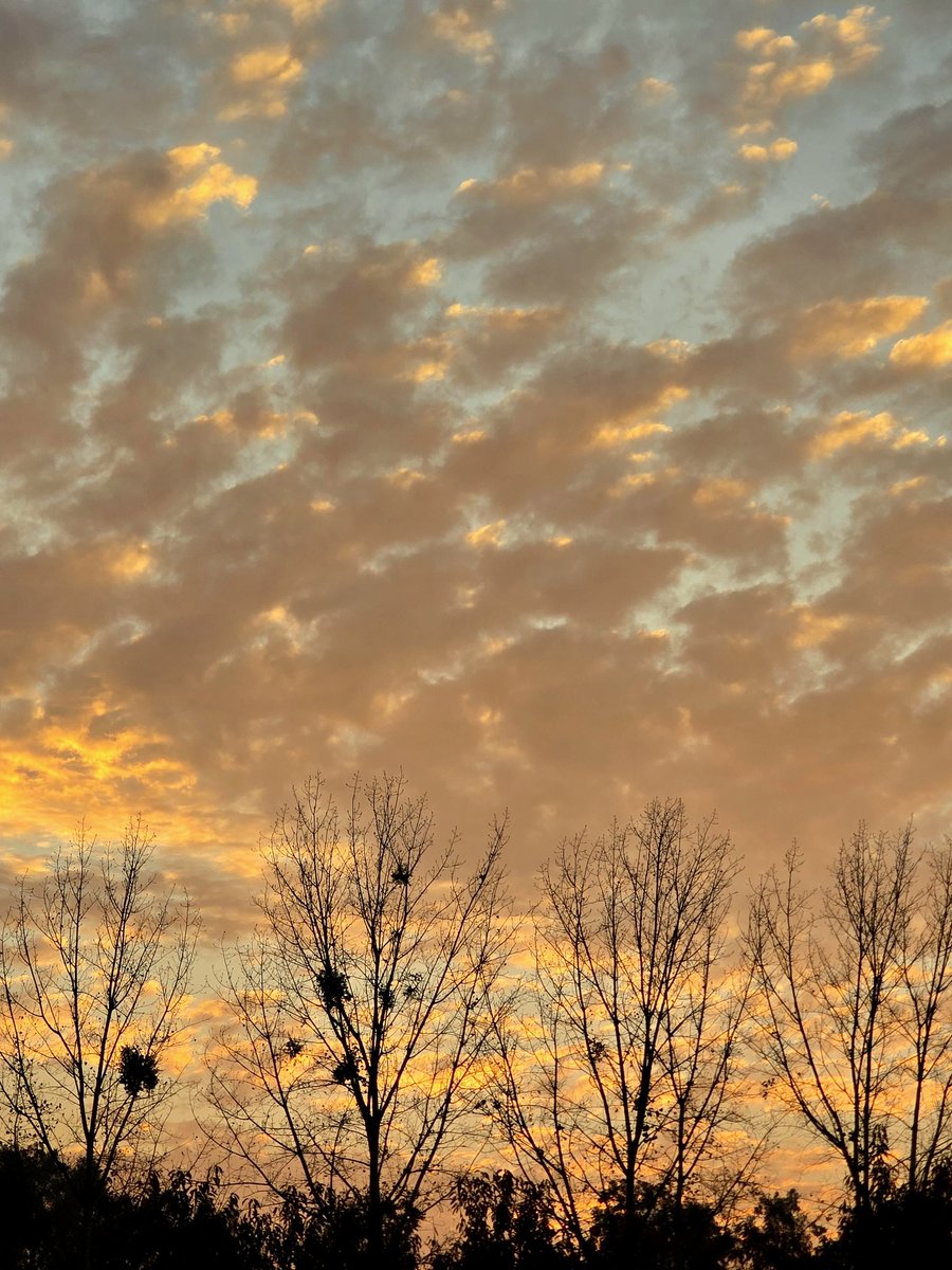 mabrigaray's tweet photo. Atardecer otoñal para terminar la semana 🍂🧡🔥 https://t.co/XJkBL12EPZ