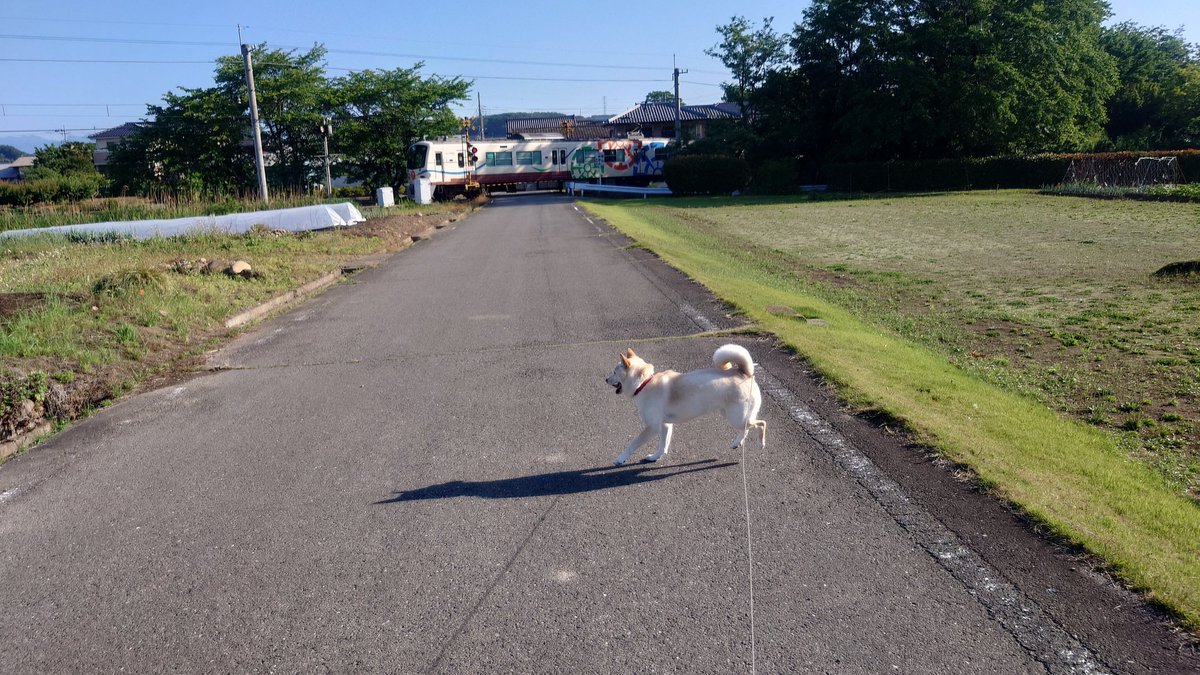 りゃんちぇ tweet media