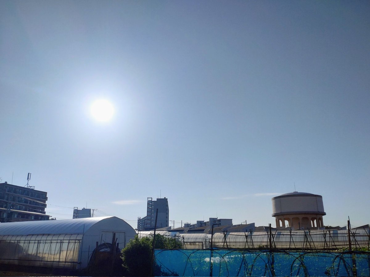 ショーイチ tweet media